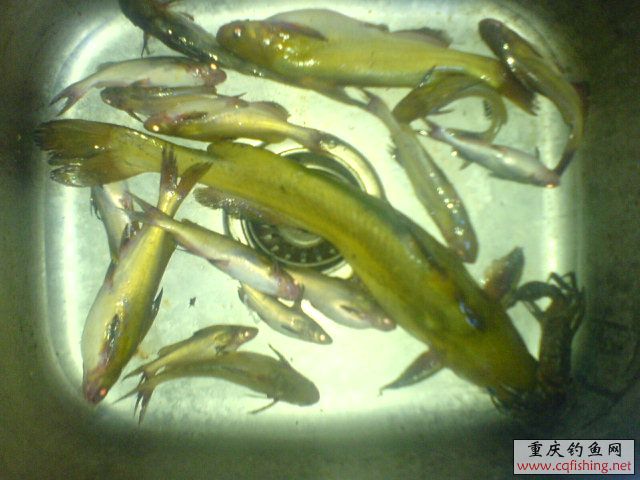 DSC00480.JPG