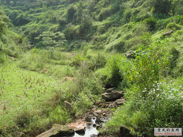 Ƭ 021.jpg