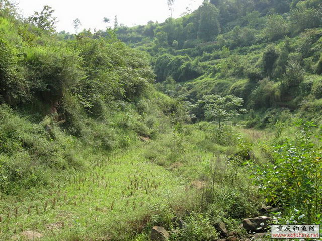 Ƭ 022.jpg