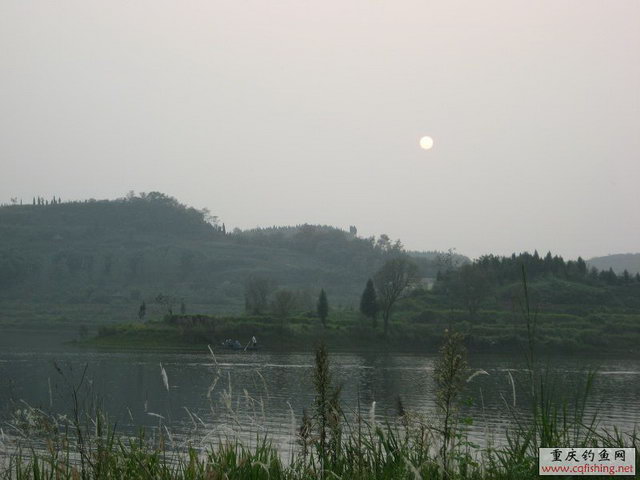 IMG_0055.jpg