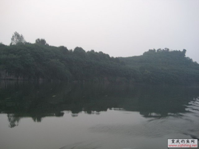 IMG_0071.jpg