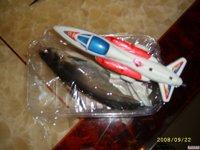 STP66912.JPG