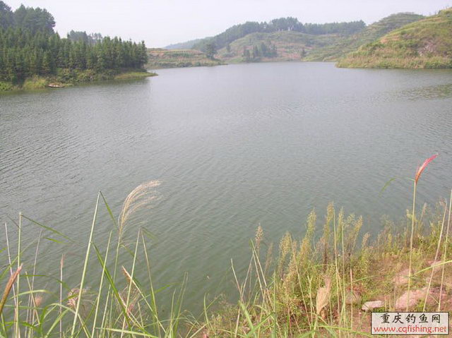 DSCN3051 .jpg