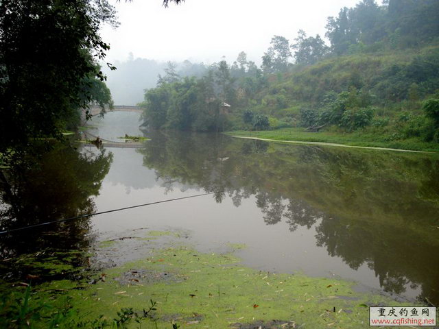 DSC02130.jpg