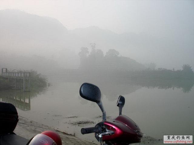 DSC01945.jpg
