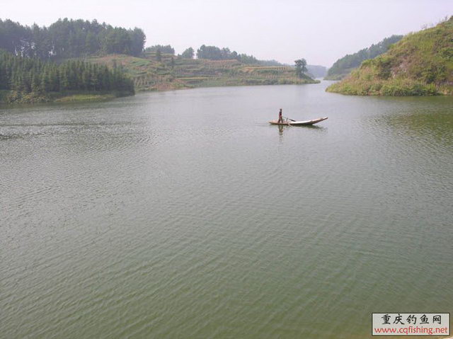 DSCN3046 .jpg