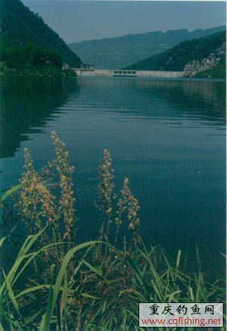 09   .jpg