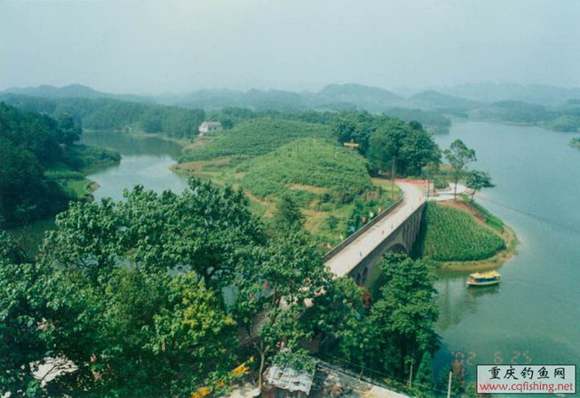 08   .jpg