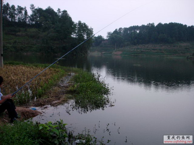 DSC01984.jpg