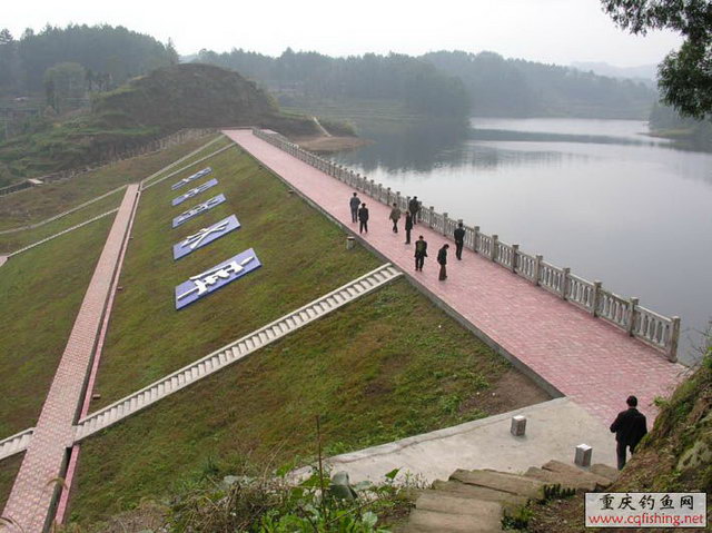 DSCN3601 .jpg