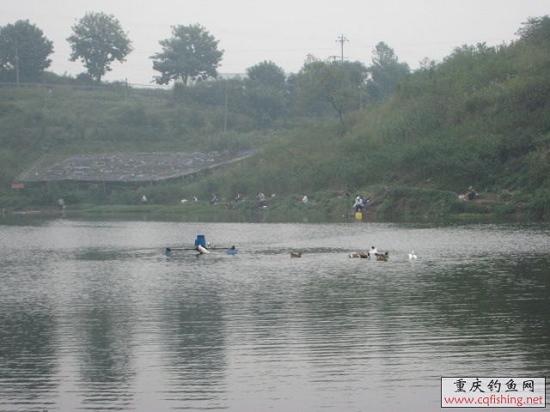 Ƭ 519.jpg