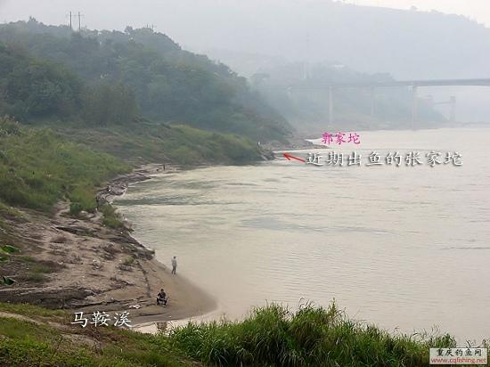P1000050.JPG