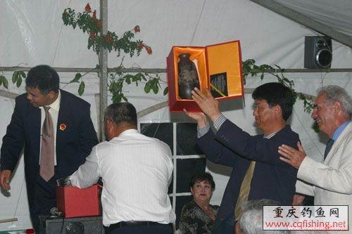 91.jpg