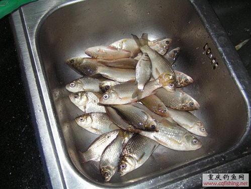 PICT0420.jpg