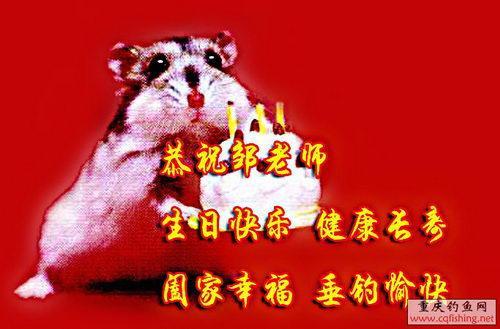 20081114_84ee8ae8781aabc696.jpg