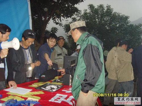 SNV33175.JPG