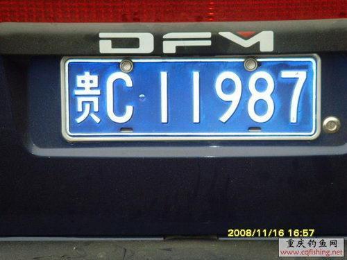 SNV33248.JPG