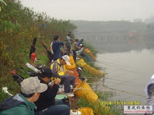 SNV33203.JPG