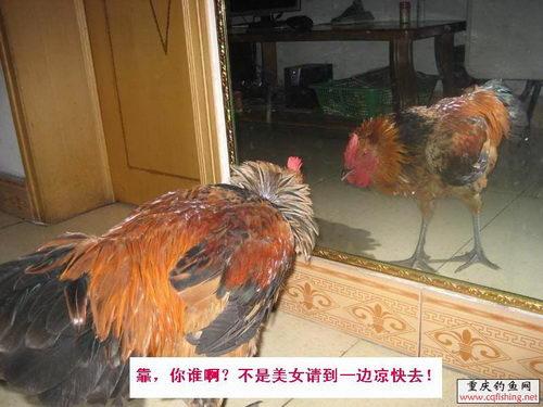 20081130_4e7cbc3db4092183c1a1erEoa7V77q3Q.jpg