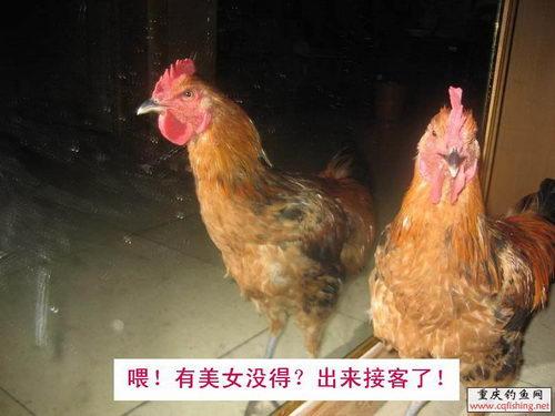 20081130_3d98961aa83f73bbe7e8c9Egy5p93iyu.jpg