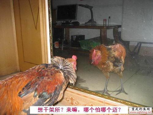 20081130_b162e1b87175e61d3009jCzuYkL8sSMJ.jpg