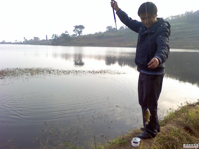 29-11-08_1557.jpg