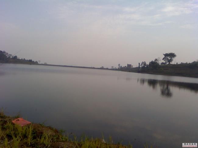 29-11-08_1553.jpg