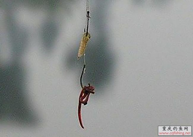 20081201_763cbcaf3209e9bfa3d1tuqaF6KimCmQ.jpg