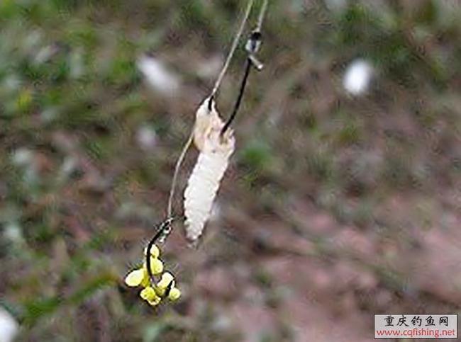 20081201_18270f2d4a19ebf34624yUt4fN7xDqmy.jpg