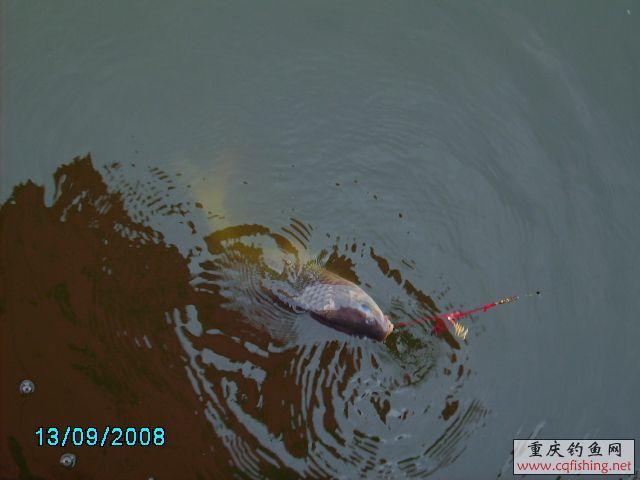 PICT0034.JPG