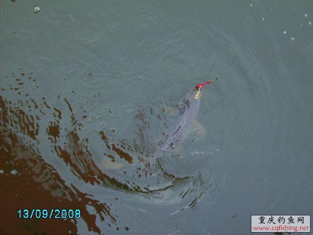 PICT0032.JPG