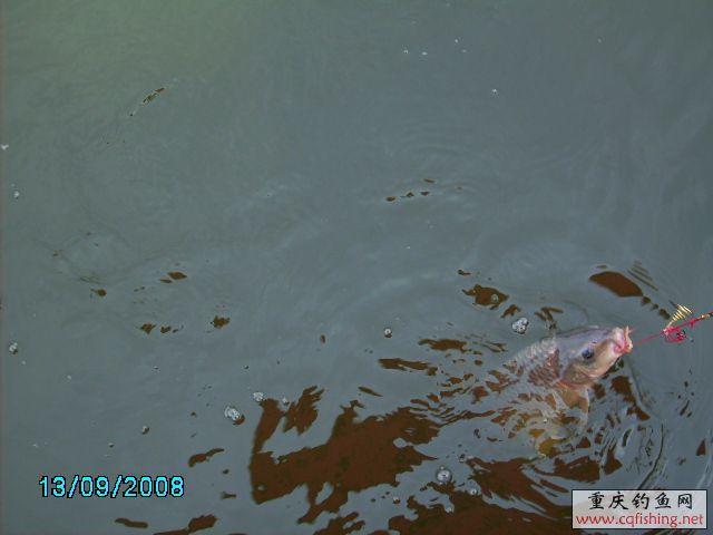 PICT0029.JPG
