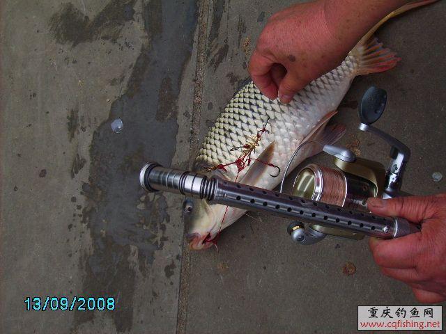 PICT0035.JPG
