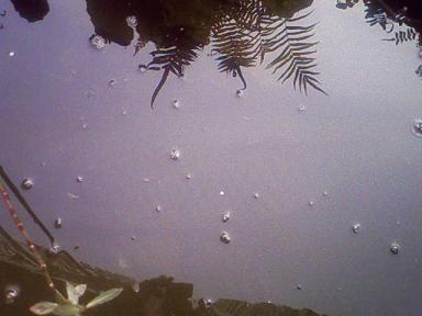 Picture83.JPG