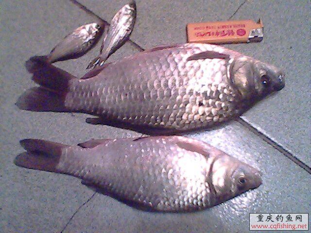 IMG0324A.jpg