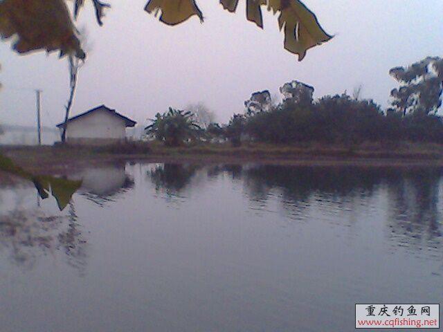 IMG0321A.jpg