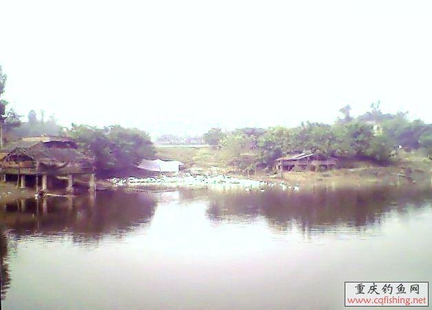 IMG0079A.jpg