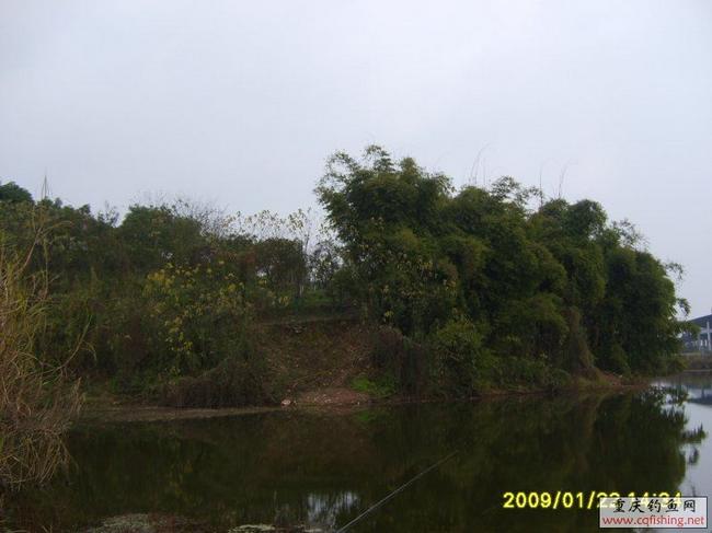 S6003724_1.jpg