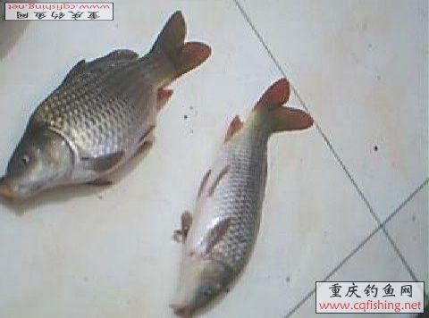 ͼƬ 018.jpg