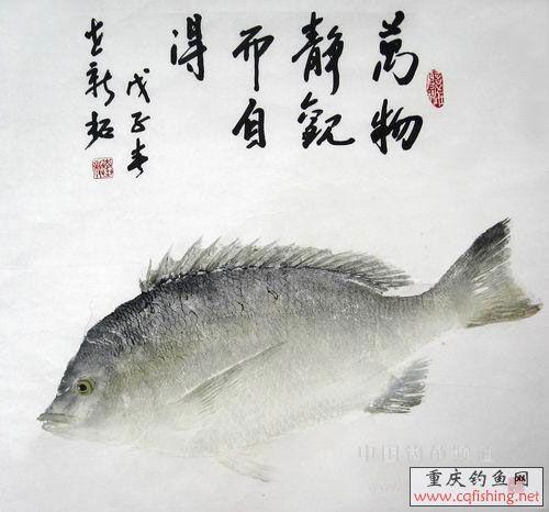 ﾲ۶Ե