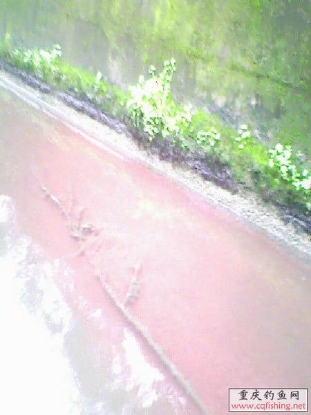 IMG0140A.jpg