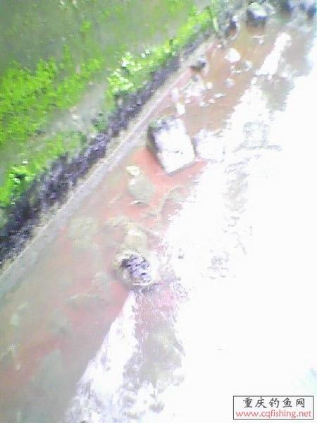 IMG0141A.jpg