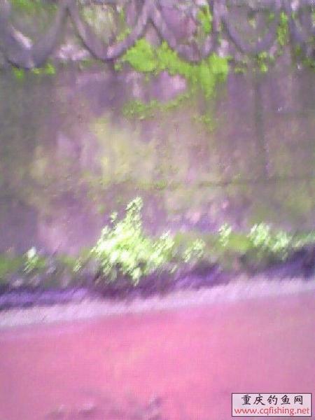 IMG0139A.jpg