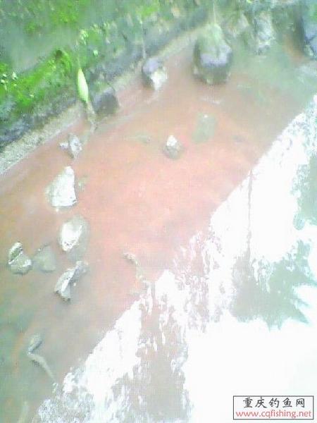 IMG0142A.jpg