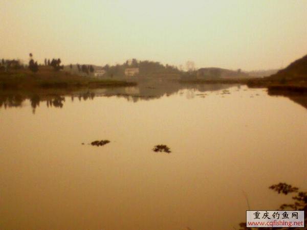 IMG0177A.jpg