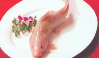 feiyu.jpg
