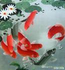 u=2830903016,315021859&fm=0&gp=-22.jpg