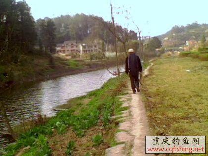 IMG0120A.jpg