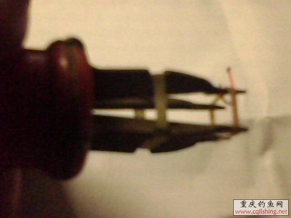 IMG0311A.jpg
