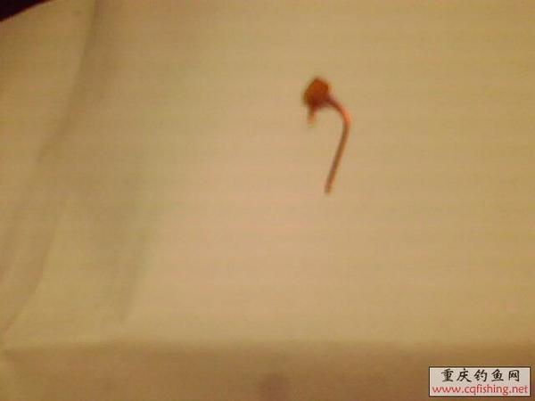 IMG0309A.jpg